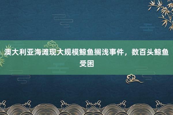 澳大利亚海滩现大规模鲸鱼搁浅事件，数百头鲸鱼受困